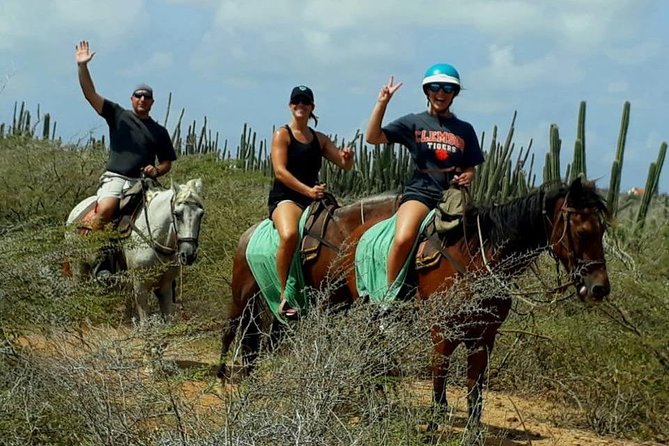 Aruba Horseback Riding Tour to Urirama Cove - Pickup and Meeting Points