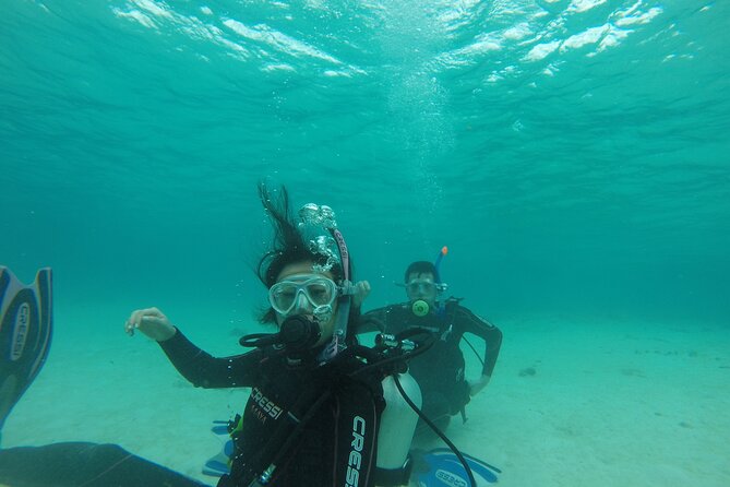 Aruba PADI Discover Scuba Diving Program Non Certified Divers - Environmental Considerations