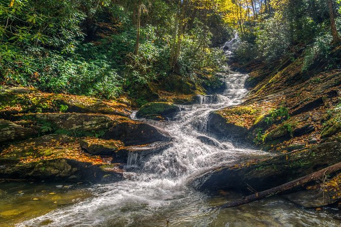 Asheville Waterfall Hike - Overview and Experience