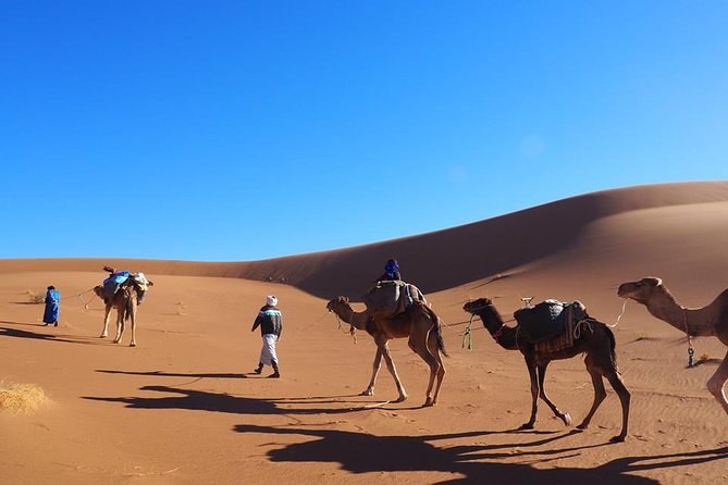 At the Gateway to the Desert, 4 Days Trip Including 3 Days on Foot - Meeting and Pickup Information