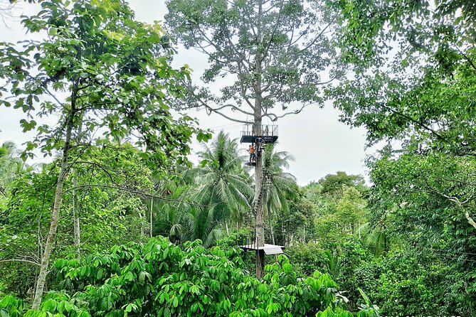 ATV and Zipline Experience on Koh Samui With Transfer - Price and Guarantee
