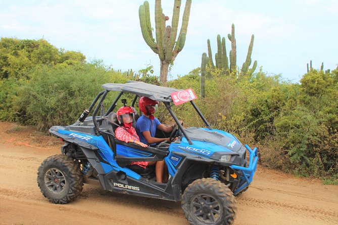ATV Sand Dune Adventure in Baja California, With Lunch  - Cabo San Lucas - Pricing and Booking