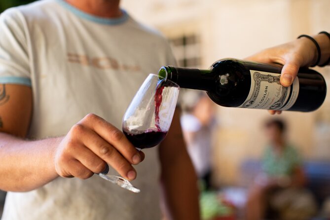 Aude Hidden History and Wine Tasting at ChȃTeau De Luc  - France - Château De Luc: a Historic Gem