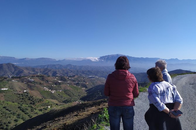 Axarquia VIP Wine Tour With Gourmet Winery Lunch Experience - Tour Highlights