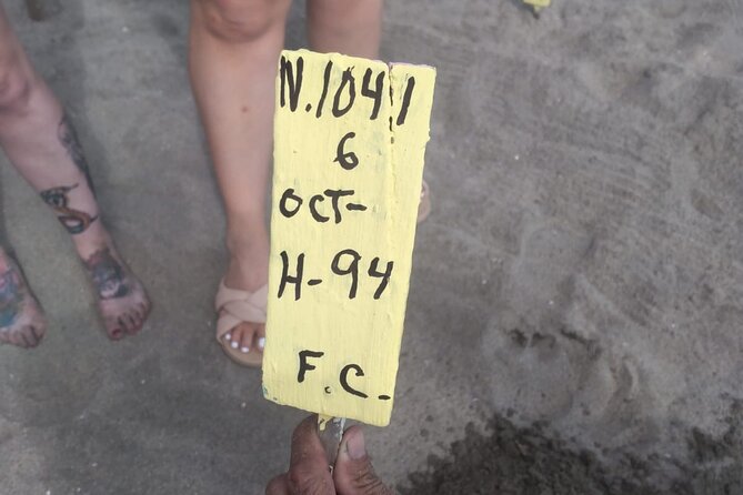 Baby Sea Turtle Releasing Sightseeing Tour With Luis De La Maza - Tour Highlights