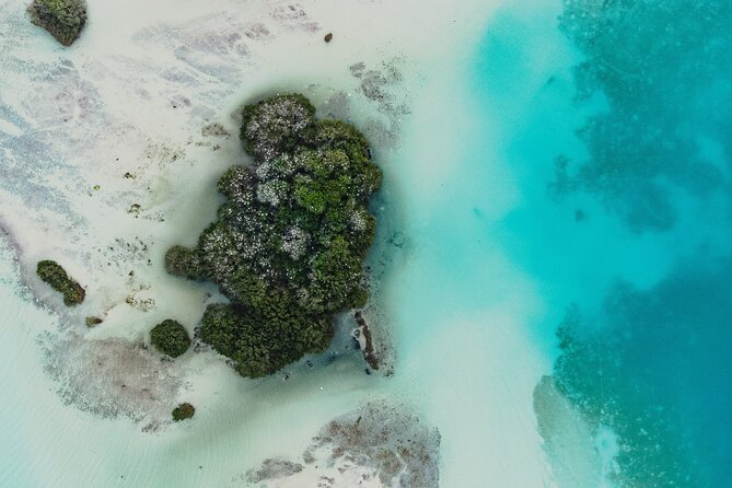 Bacalar Lagoon Sightseeing Boat Tour With Open Bar and Snacks - Tour Details and Highlights