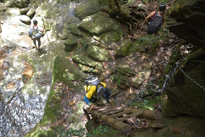 Bach Ma National Park Discovery Full Day Group Tour From Hue - Parks Flora and Fauna