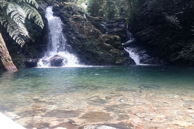 Bach Ma National Park Trekking Tour 1 Day From Hue City, Vietnam - Trekking Itinerary