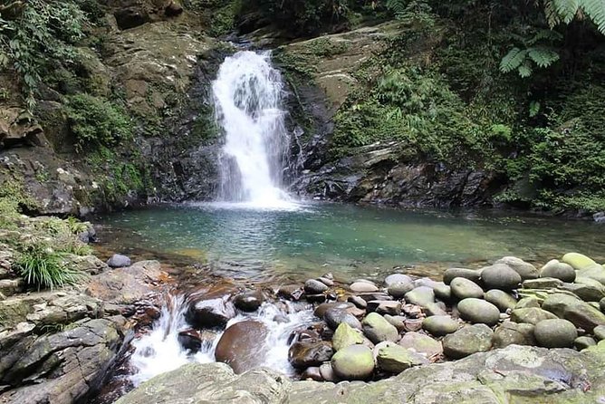 Bach Ma Park via Hai Van Pass Private Full-Day Trekking Tour - Highlights and Features