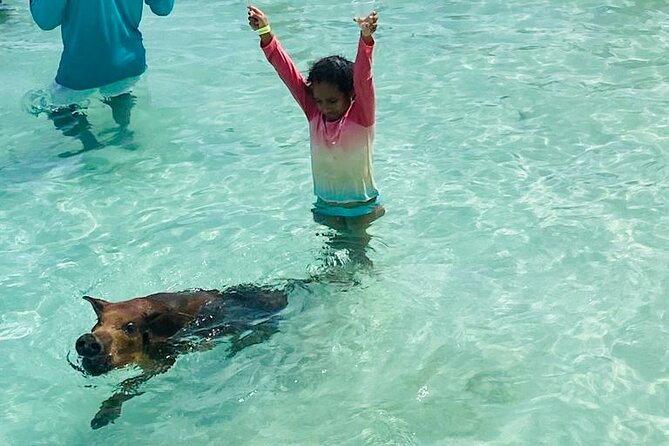 Bahamas Bliss Sailing Catamaran Adventure Swimming Pigs Too - Directions