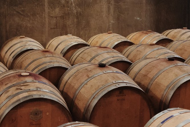 Baja Tour Guide Wine Tour - Overview and Services