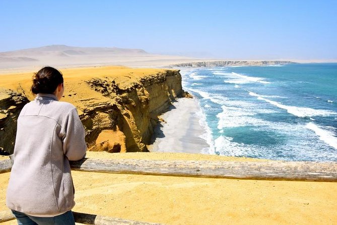 Ballestas Islands and Paracas National Reserve Day Trip From Paracas - Suggestions for Ballestas Islands Boat Tour