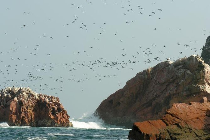 Ballestas Islands Sightseeing Boat Ride From Paracas - Boat Trip Details