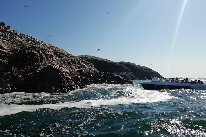 Ballestas Islands, Winery & Nazca Lines Private Tour From Lima - Common Questions
