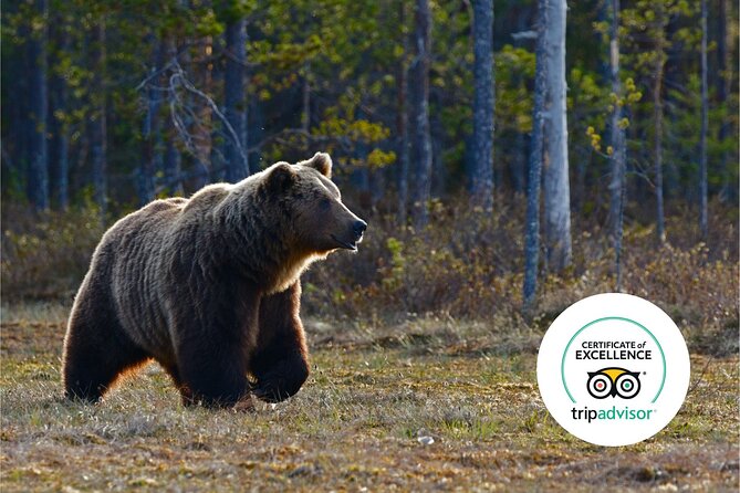 Banff Highlights & Wildlife Small Group Adventure - Pricing and Booking