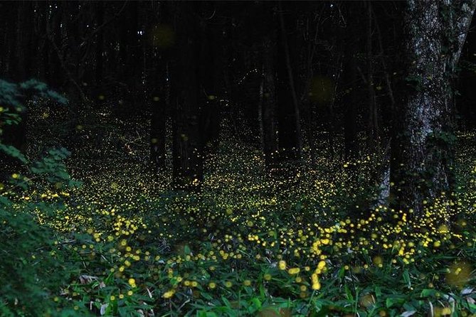 Bangkok Day Tour (Damnoen Saduak Floating/Railway Markets) - Tour Highlights