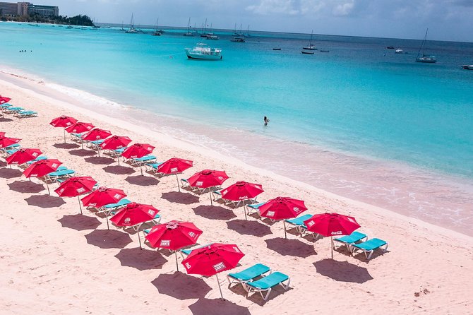 Barbados Beach Lounger & Turtle Snorkel Combo Carlisle Bay - Booking and Cancellation Policies