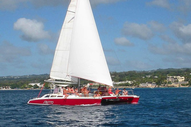 Barbados Catamaran Turtle Snorkel With Open Bar - Inclusions