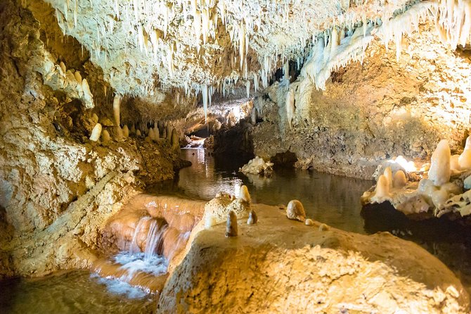 Barbados Harrisons Cave and Atlantis Submarine Dive Tour - Tour Overview and Inclusions