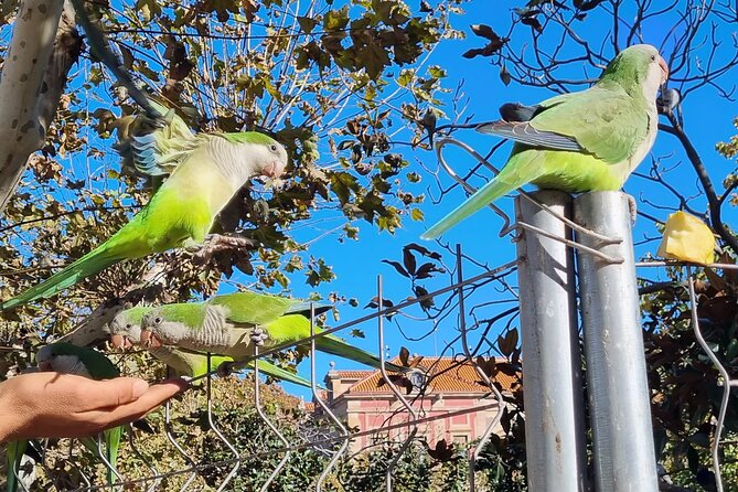 Barcelona Bike Tour With French Guide 25-ТOP, Bike/Ebike - Pricing Options and Guarantees