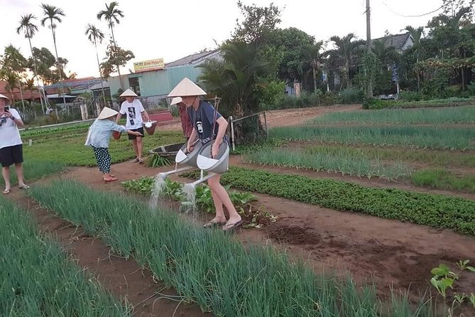 Basket Boat Ride - Vegetable Farming Activities -Pottery Village - Buffalo Ride - Engaging in Vegetable Farming Activities