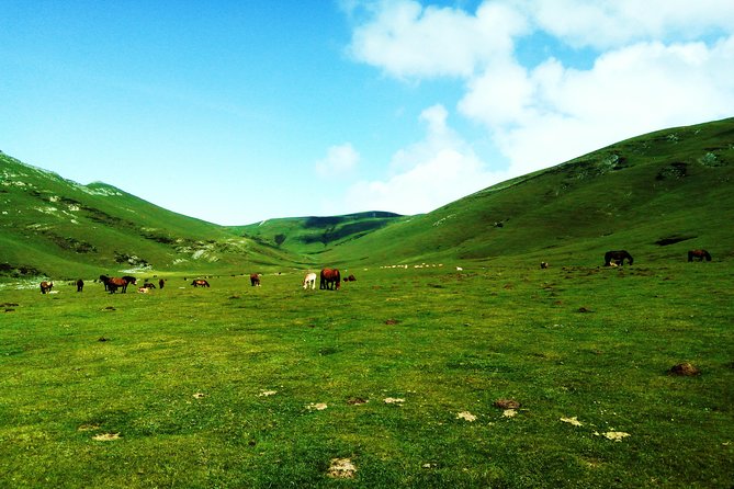 Basque Country Small-Group Hiking Tour  - San Sebastian - Tour Details