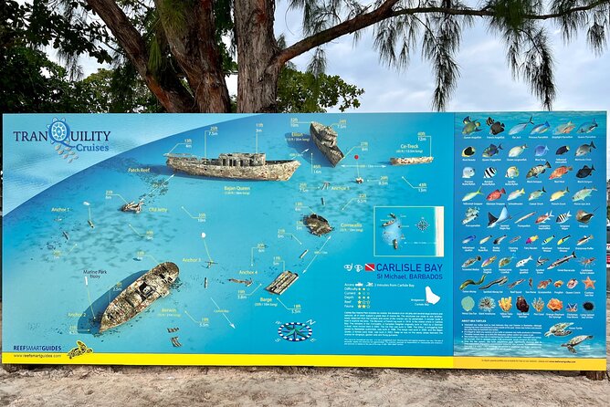 Beach Shuttle to Carlisle Bay With Free Use of Chair and Umbrella - Pricing and Booking Information