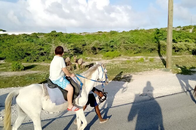 Beach Trail and Swim. Cockburn Town, Grand Turk, Turks and Caicos - Whats Included