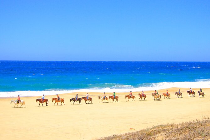 Beach UTV & Horseback Riding COMBO in Cabo by Cactus Tours Park - Overview of the Beach UTV & Horseback Riding Combo