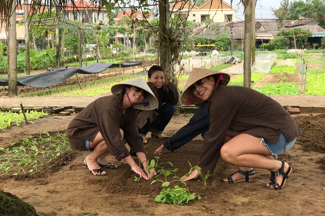 Become a Farmer at Tra Que Vegetable Village Included Cooking Class and Foot Massage - Overview of the Experience