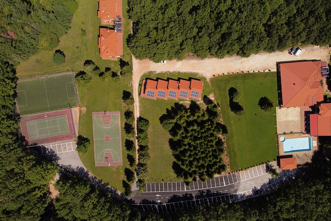 Beekeeper Experience in the Mountain of Holomontas - Pricing and Guarantee