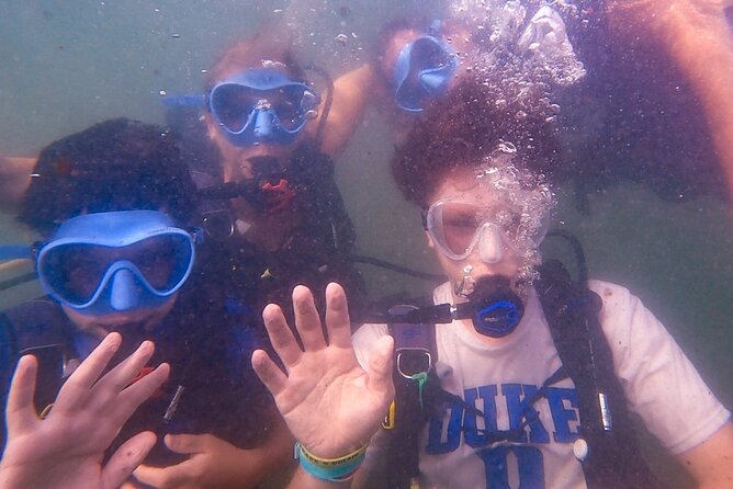 Beginner SCUBA Diving in Old San Juan - Pricing and Booking Information