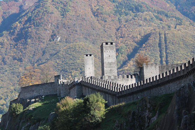Bellinzona Private Walking Tour With Professional Guide - Tour Details