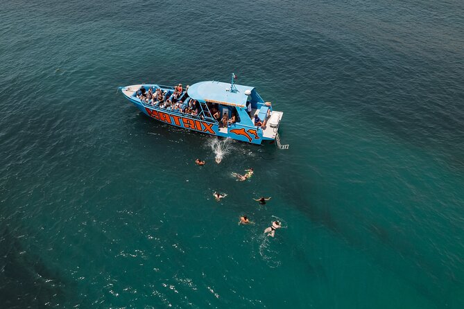 Benagil Caves and Dolphin Watching - 2.5h - Meeting and Pickup