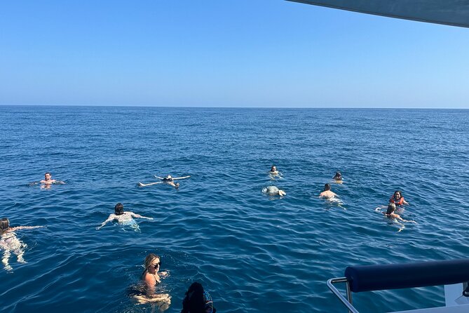 Benagil Caves & Coast From Portimão on an Eco-Friendly Catamaran - Visit Famous Sea Caves, Including Benagil Cave