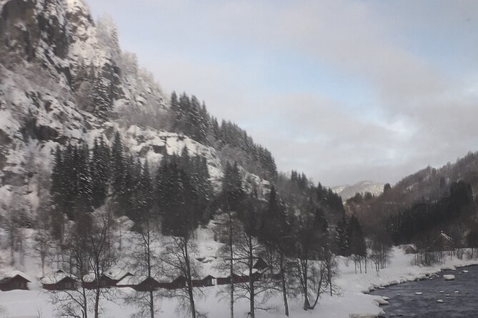 Bergen Private City Meets Fjord Group Tour - Tour Details