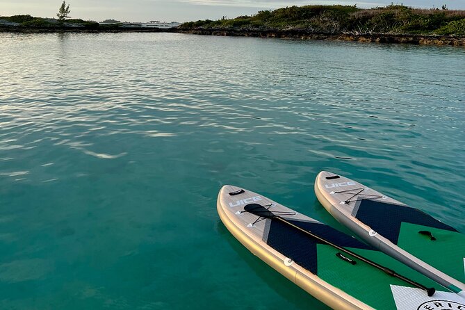 Bermuda Private Catamaran:Snorkeling, Shipwrecks & Cliff Jumping - Catamaran Tour Overview