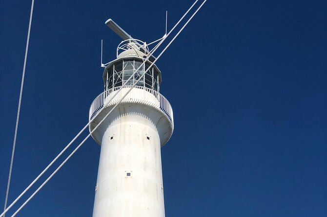 Bermudaful Island Tour - Positive Reviews and Visitor Satisfaction