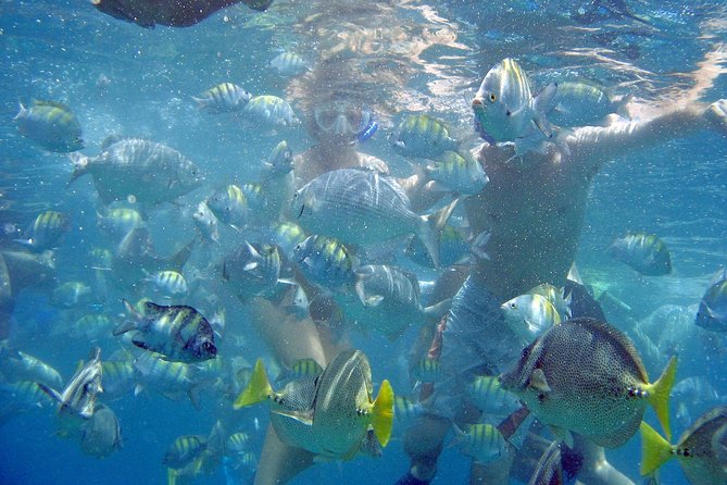 Best of Cabo Highlights 6x1 - Top Activities and Sights