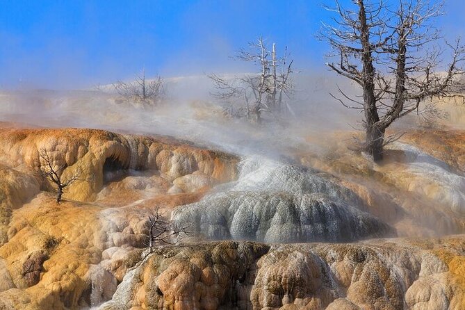 Best Of Yellowstone Full Day Natl Park Tour From Bozeman - Tour Details