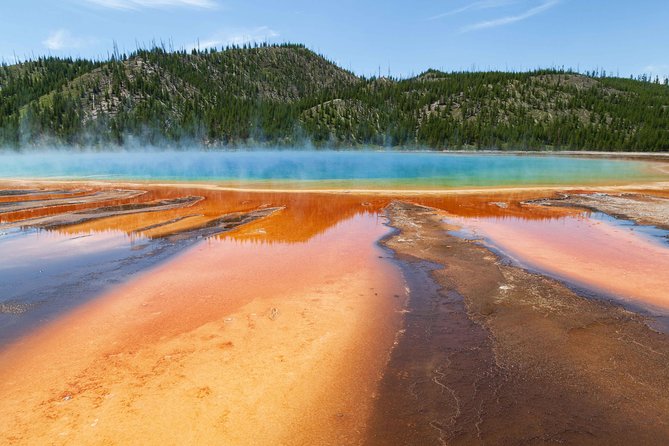 Best of Yellowstone - Guided National Park Safari Tour - Tour Overview and Features