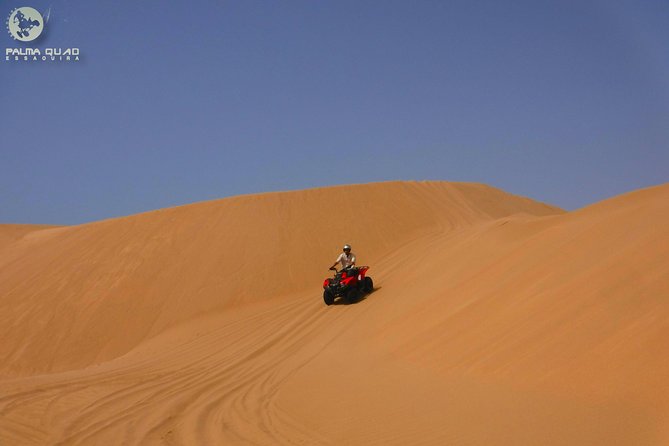Big Dunes and Atlantic Coast Tour 2 HOURS - Tour Highlights