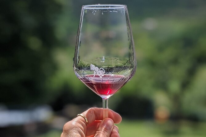 Bike Ride & WIne Tasting - Wine Tasting: Savor the Local Flavors