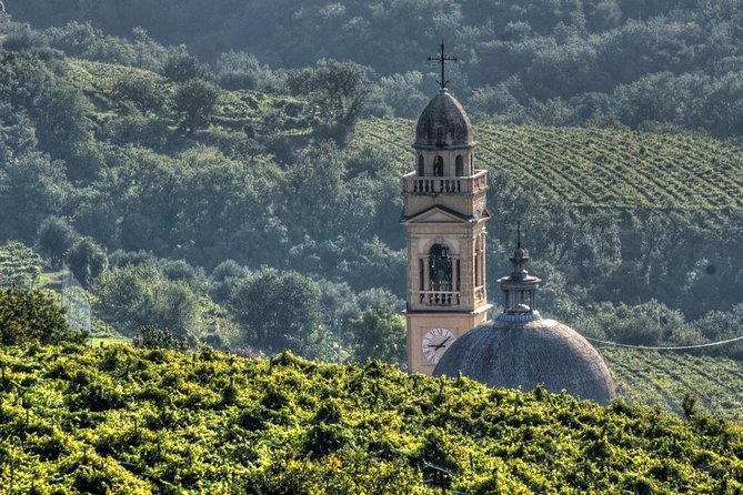 Bike Station Valpolicella: E-Bike Tour & Amarone Tasting - Convenient Booking Process