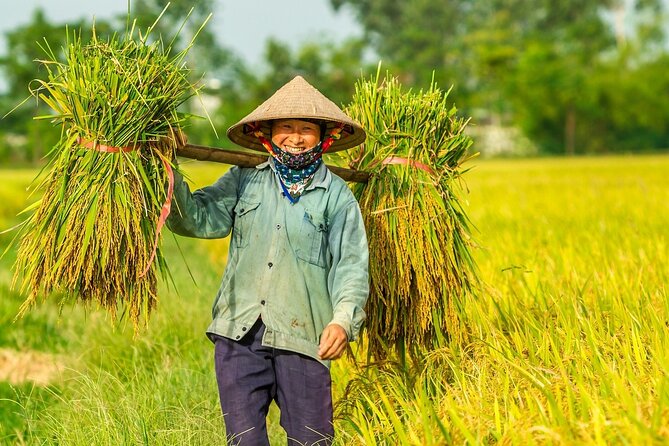Biking and Cooking in Rural Nha Trang - Overview and Itinerary