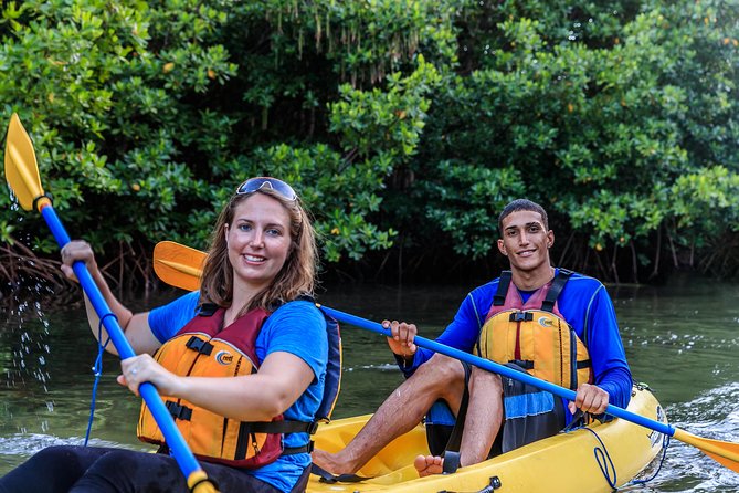 Bio Bay Night Kayaking Laguna Grande, Fajardo - Night Kayaking Experience