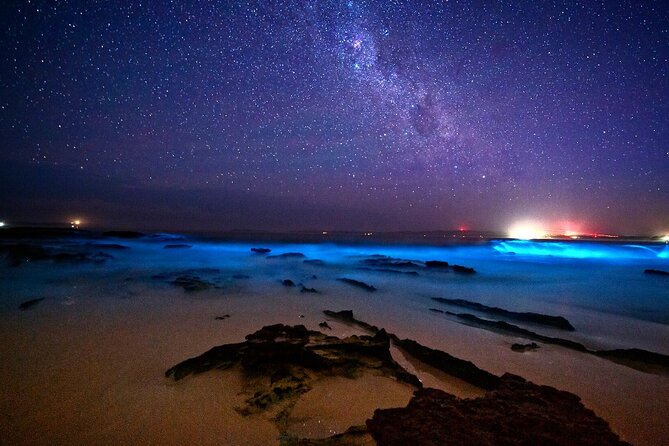 Bioluminescence Clear Kayak or Clear Paddleboard Adventure Tour - Location and Duration