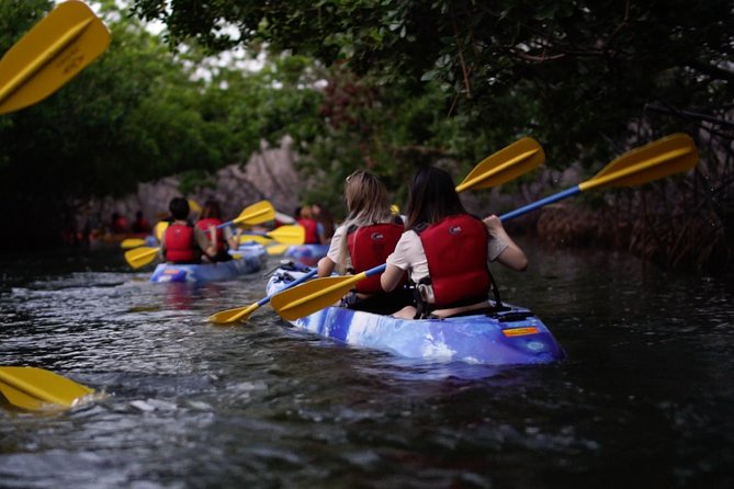 Bioluminescent Bay Kayak Adventure Tour From San Juan - Tour Details