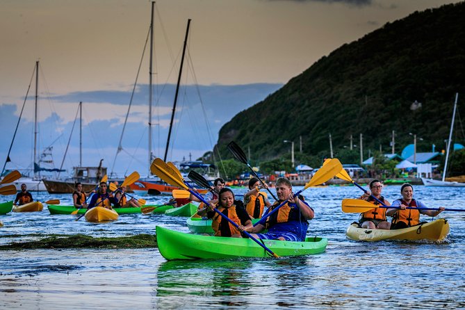 Bioluminescent Night Kayaking Pickup Point From San Juan - Experience Kayaking After Dark