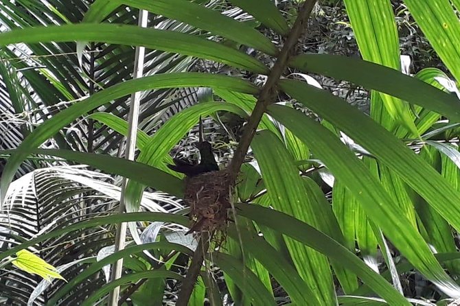 Bird Watching Tours - Pricing and Guarantee